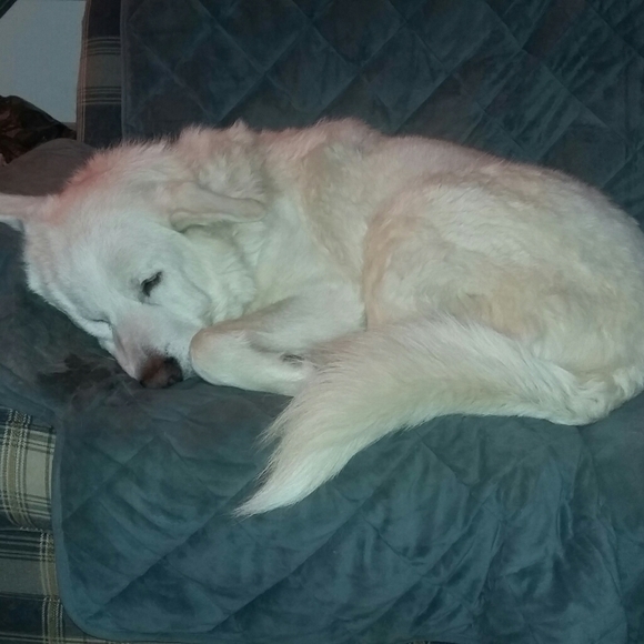 Welcome to my closet! - Picture 2 of 4